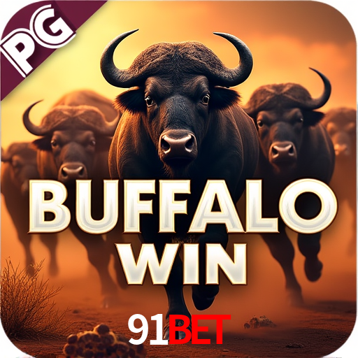 Security Systems 91bet